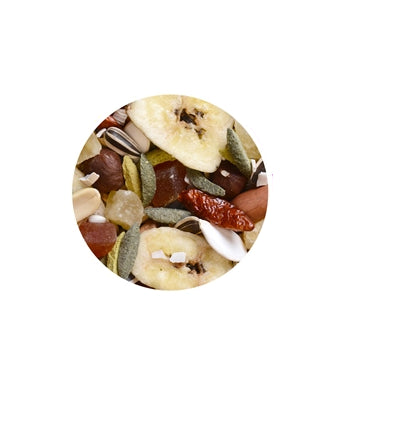 Hrana pentru papagali Wellness 750g